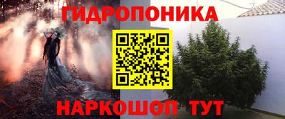 прущие крисы Нарткала
