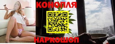 стафф Нальчик
