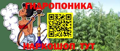 МДПВ Новодвинск