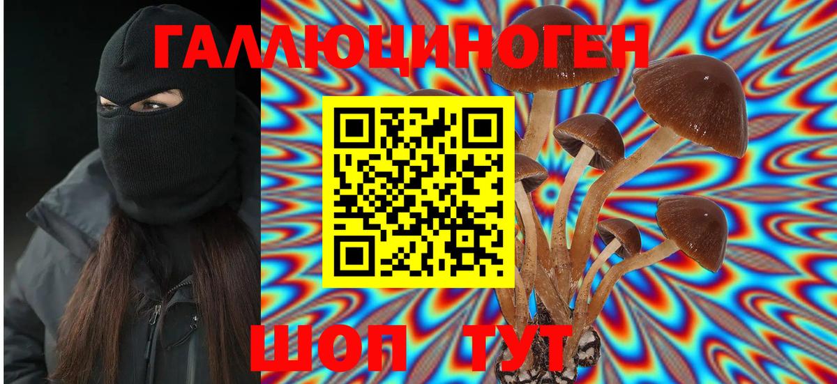Галлюциногенные грибы MAGIC MUSHROOMS Томск