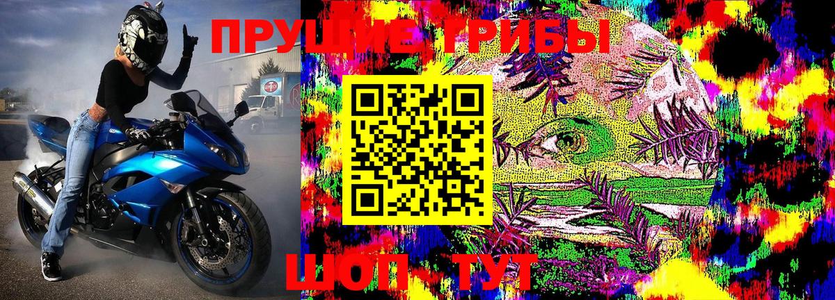 Томск  Галлюциногенные грибы Magic Shrooms  Вход с VPN  Псилоцибиновые грибы GOLDEN TEACHER 
